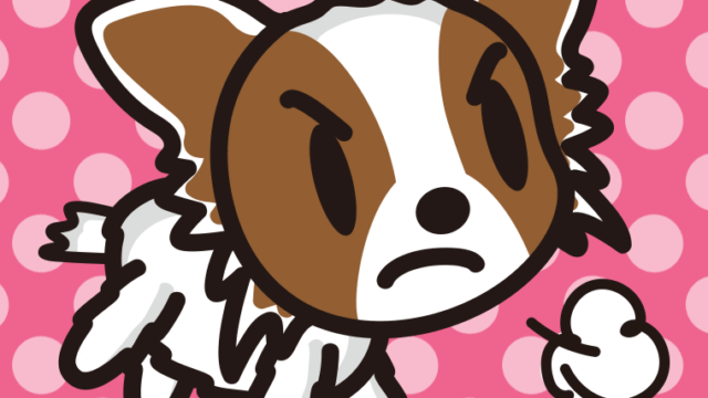 怒るパピヨンちゃん（犬）のイラスト【色、背景あり】PNG