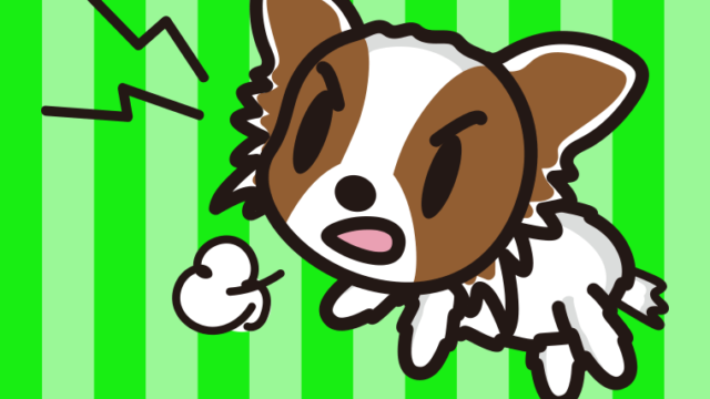 吠えるパピヨンちゃん（犬）のイラスト【色、背景あり】PNG
