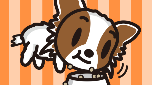 ごはんをモリモリ食べるパピヨンちゃん（犬）のイラスト【色、背景あり】PNG