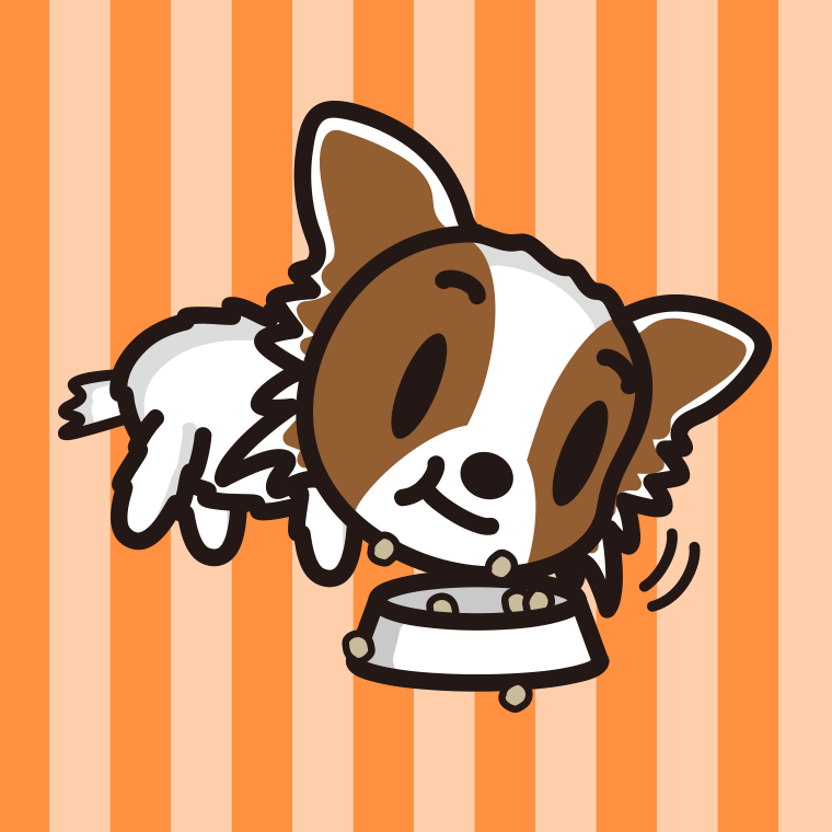 ごはんをモリモリ食べるパピヨンちゃん（犬）のイラスト【色、背景あり】PNG