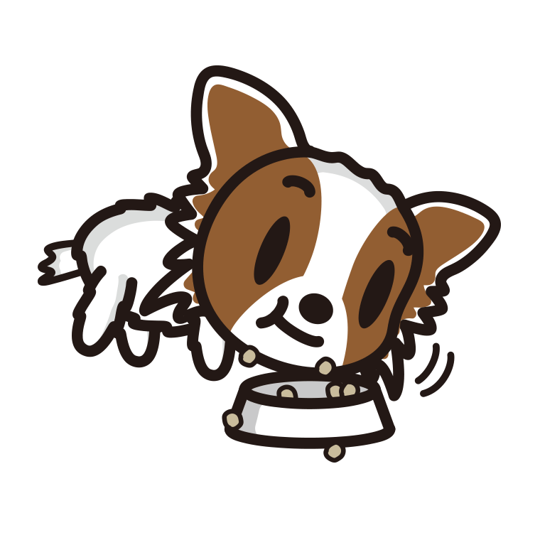 ごはんをモリモリ食べるパピヨンちゃん（犬）のイラスト【色あり、背景なし】透過PNG
