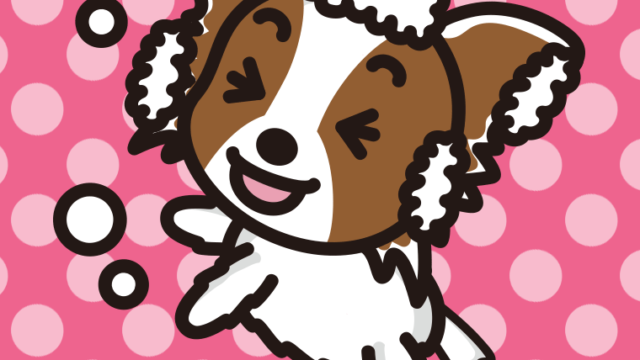 体を洗うパピヨンちゃん（犬）のイラスト【色、背景あり】PNG