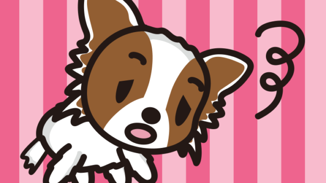 眠そうなパピヨンちゃん（犬）のイラスト【色、背景あり】PNG