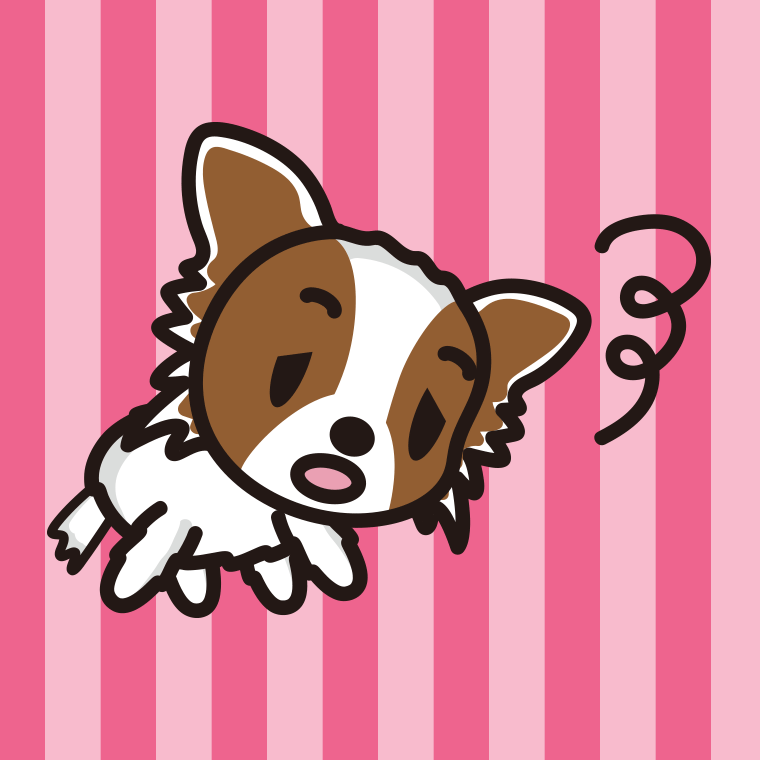 眠そうなパピヨンちゃん（犬）のイラスト【色、背景あり】PNG