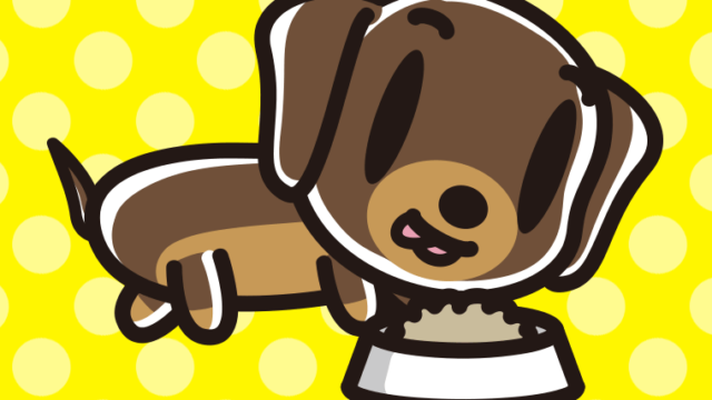 ごはんを食べるミニチュアダックスフンドちゃん（犬）のイラスト【色、背景あり】PNG