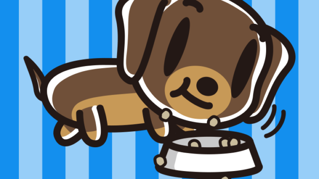 ごはんをモリモリ食べるミニチュアダックスフンドちゃん（犬）のイラスト【色、背景あり】PNG