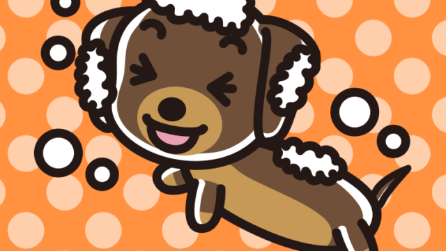 体を洗うミニチュアダックスフンドちゃん（犬）のイラスト【色、背景あり】PNG