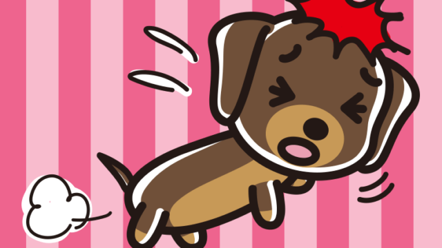 ぶつかるミニチュアダックスフンドちゃん（犬）のイラスト【色、背景あり】PNG