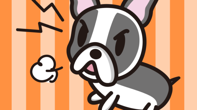 吠えるフレンチブルドッグちゃん（犬）のイラスト【色、背景あり】PNG