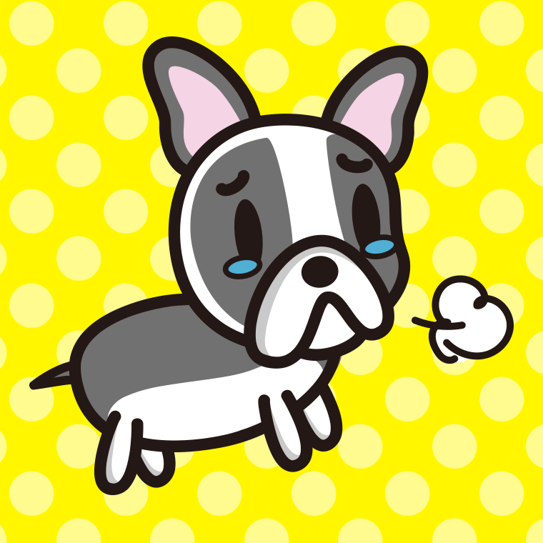 泣くフレンチブルドッグちゃん（犬）のイラスト【色、背景あり】PNG