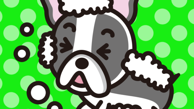 体を洗うフレンチブルドッグちゃん（犬）のイラスト【色、背景あり】PNG