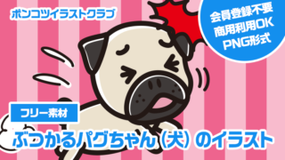 【フリー素材】ぶつかるパグちゃん（犬）のイラスト