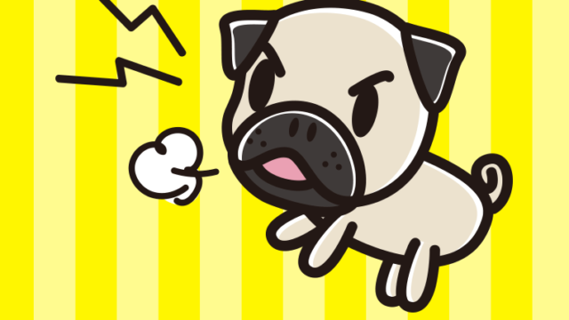 吠えるパグちゃん（犬）のイラスト【色、背景あり】PNG