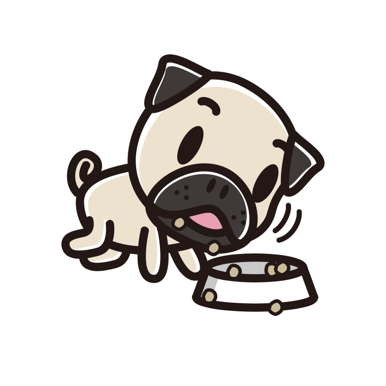 ごはんをモリモリ食べるパグちゃん（犬）のイラスト【色あり、背景なし】透過PNG