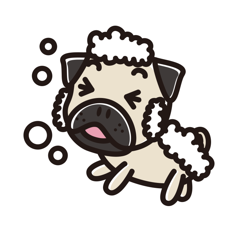 体を洗うパグちゃん（犬）のイラスト【色あり、背景なし】透過PNG