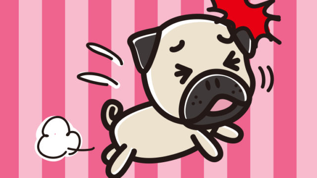 ぶつかるパグちゃん（犬）のイラスト【色、背景あり】PNG