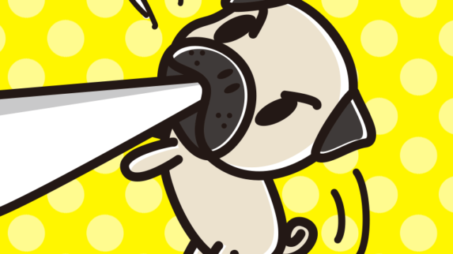 くわえて引っ張るパグちゃん（犬）のイラスト【色、背景あり】PNG