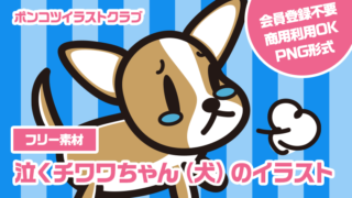 【フリー素材】泣くチワワちゃん（犬）のイラスト