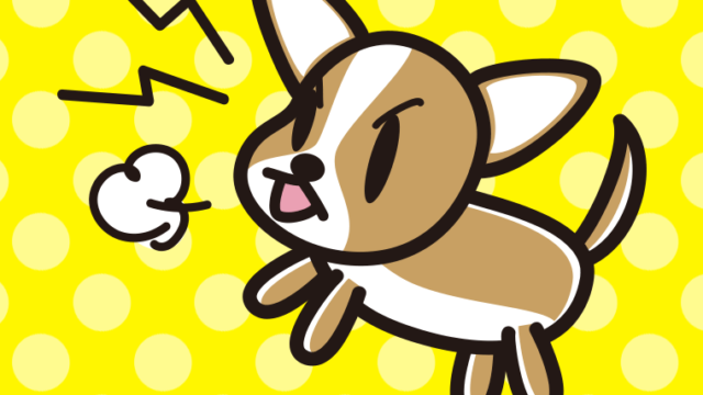 吠えるチワワちゃん（犬）のイラスト【色、背景あり】PNG