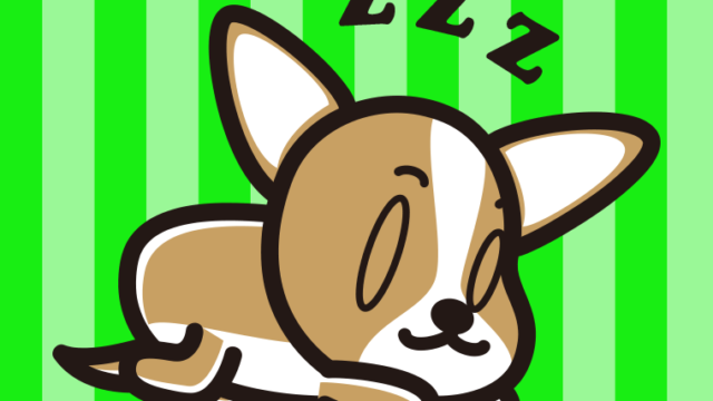 眠っているチワワちゃん（犬）のイラスト【色、背景あり】PNG