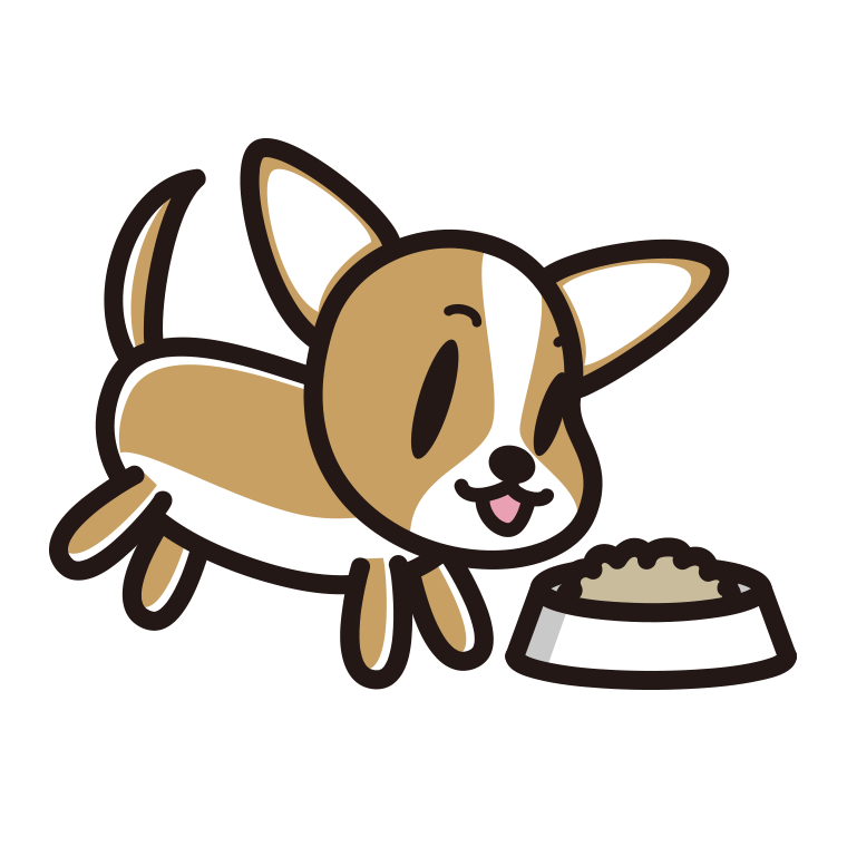 ごはんを食べるチワワちゃん（犬）のイラスト【色あり、背景なし】透過PNG