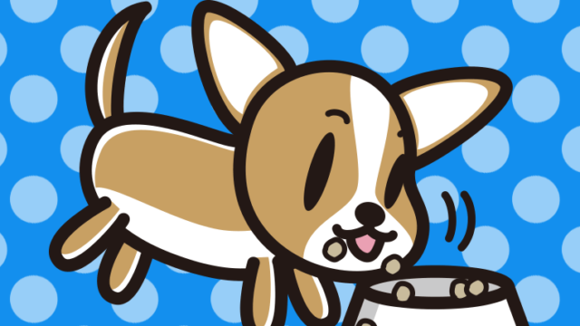 ごはんをモリモリ食べるチワワちゃん（犬）のイラスト【色、背景あり】PNG