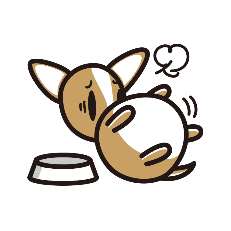ごはんを食べて満腹なチワワちゃん（犬）のイラスト【色あり、背景なし】透過PNG