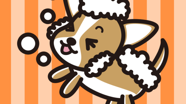 体を洗うチワワちゃん（犬）のイラスト【色、背景あり】PNG