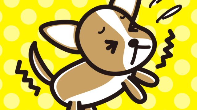 ブルブル震えるチワワちゃん（犬）