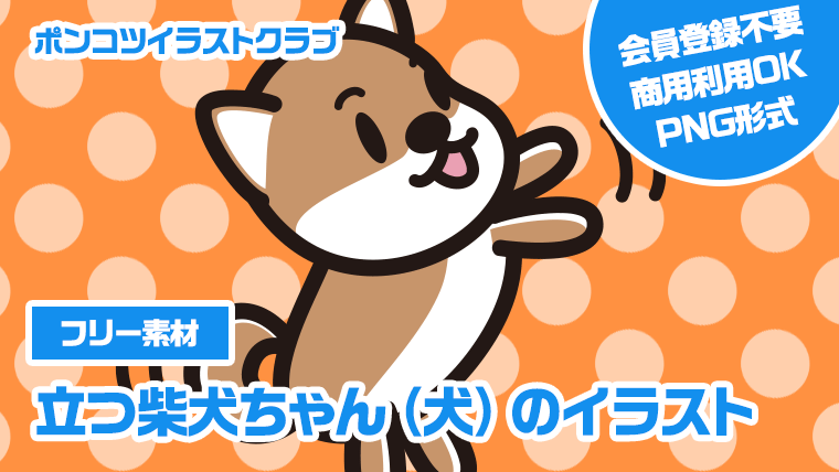 【フリー素材】立つ柴犬ちゃん（犬）のイラスト