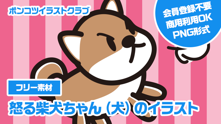 【フリー素材】怒る柴犬ちゃん（犬）のイラスト