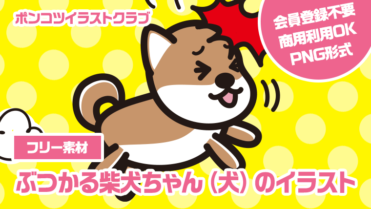 【フリー素材】ぶつかる柴犬ちゃん（犬）のイラスト