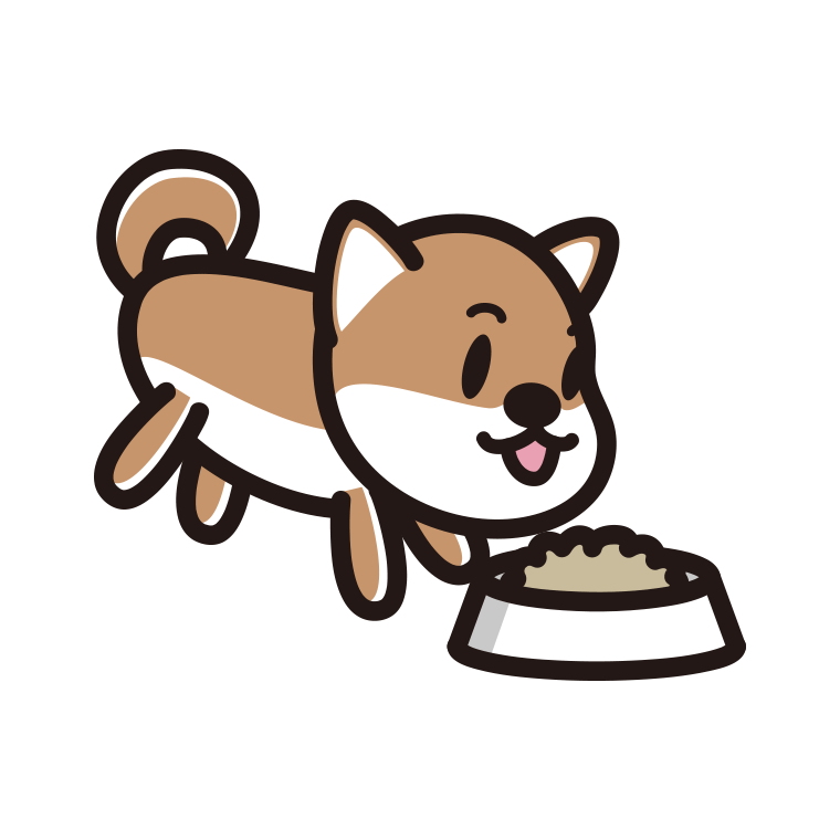 ごはんを食べる柴犬ちゃん（犬）のイラスト【色あり、背景なし】透過PNG