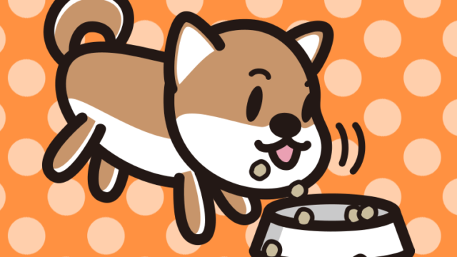 ごはんをモリモリ食べる柴犬ちゃん（犬）のイラスト【色、背景あり】PNG