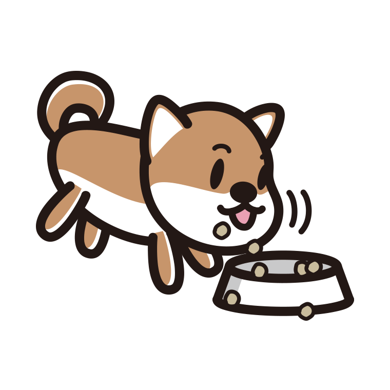 ごはんをモリモリ食べる柴犬ちゃん（犬）のイラスト【色あり、背景なし】透過PNG