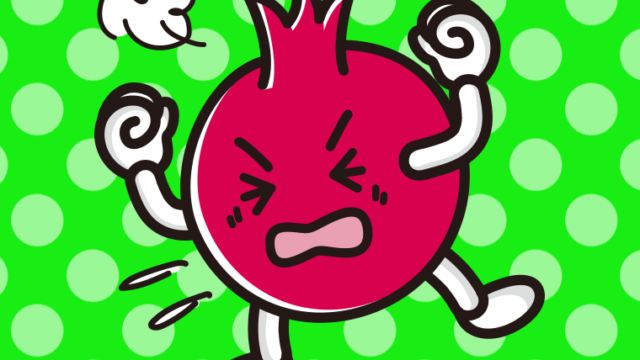 カンカンに怒るザクロちゃんのイラスト【色、背景あり】PNG