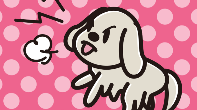 吠えるゴールデンレトリバーちゃん（犬）のイラスト【色、背景あり】PNG