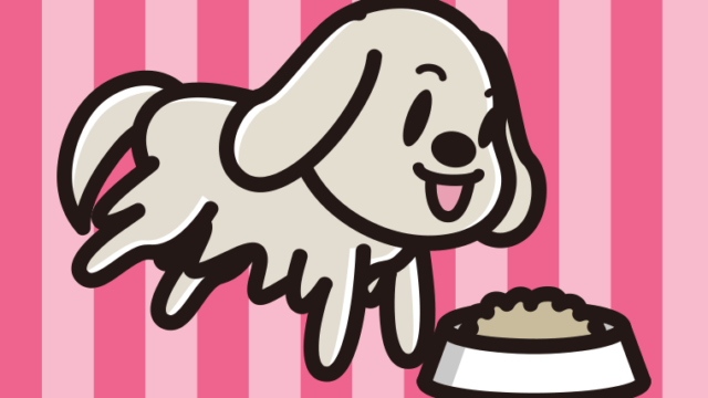ごはんを食べるゴールデンレトリバーちゃん（犬）のイラスト【色、背景あり】PNG