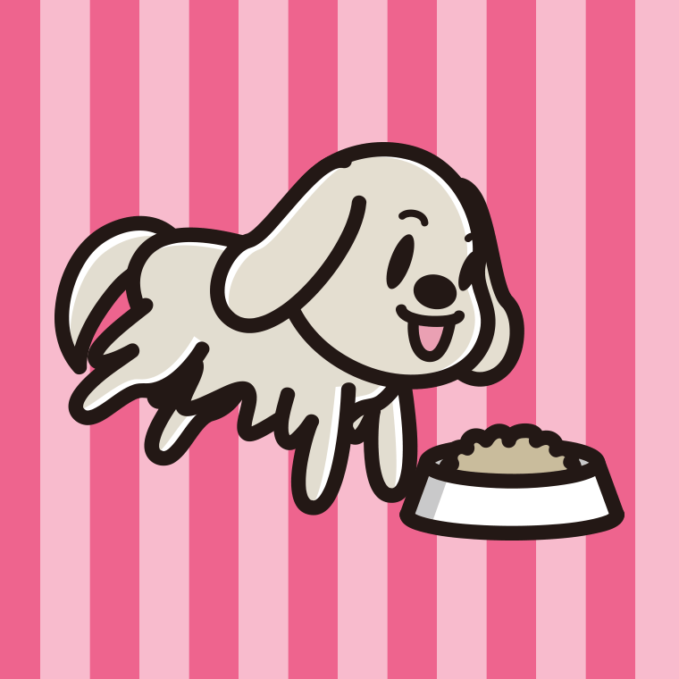 ごはんを食べるゴールデンレトリバーちゃん（犬）のイラスト【色、背景あり】PNG