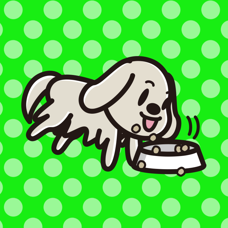 ごはんをモリモリ食べるゴールデンレトリバーちゃん（犬）のイラスト【色、背景あり】PNG