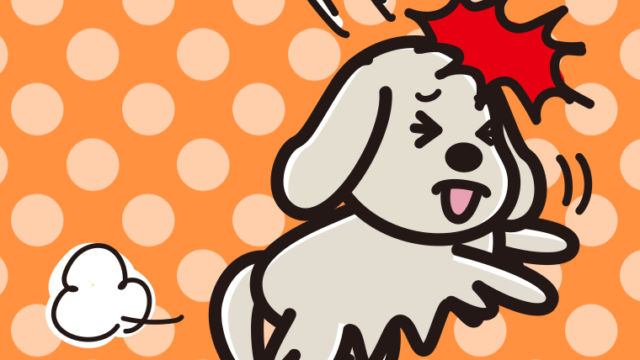 ぶつかるゴールデンレトリバーちゃん（犬）のイラスト【色、背景あり】PNG