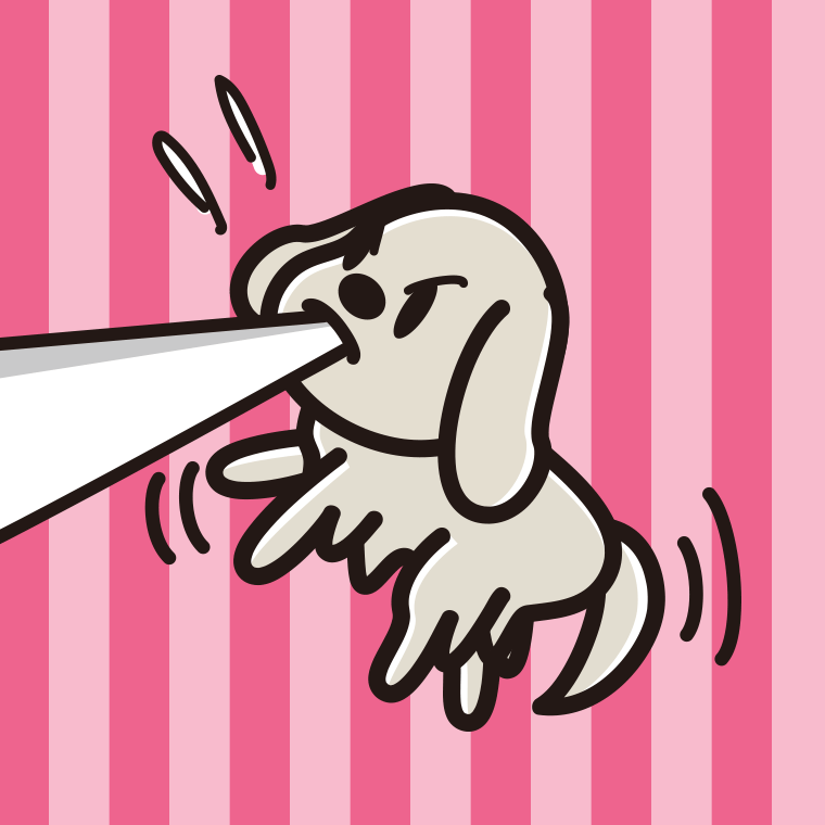 くわえて引っ張るゴールデンレトリバーちゃん（犬）のイラスト【色、背景あり】PNG