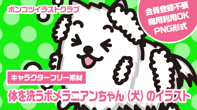 【キャラクターフリー素材】体を洗うポメラニアンちゃん（犬）のイラスト