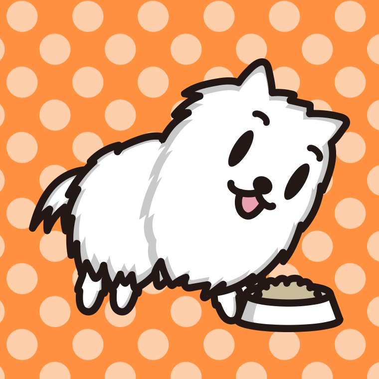 ごはんを食べるポメラニアンちゃん（犬）のイラスト【色、背景あり】PNG