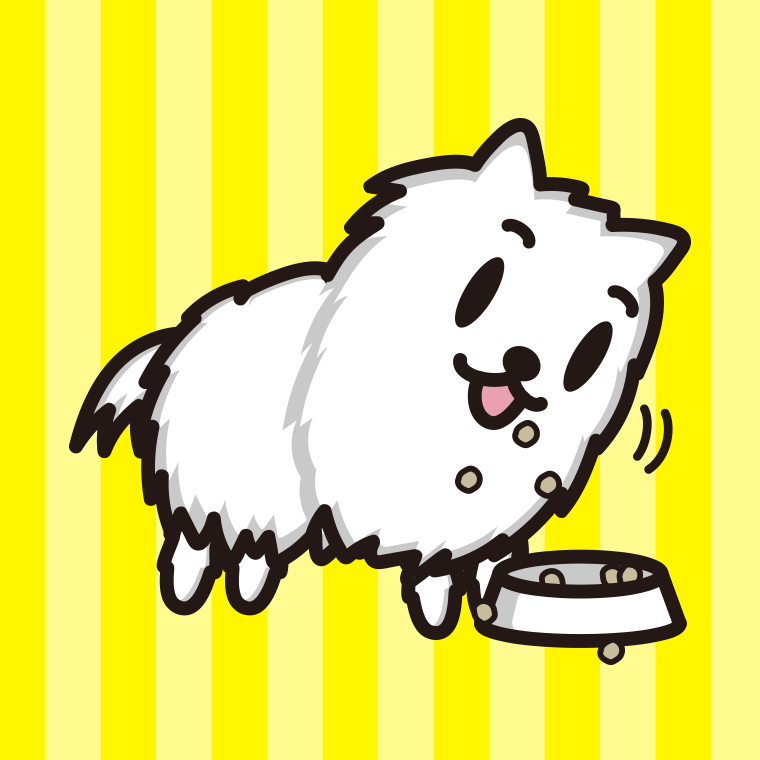 ごはんをモリモリ食べるポメラニアンちゃん（犬）のイラスト【色、背景あり】PNG