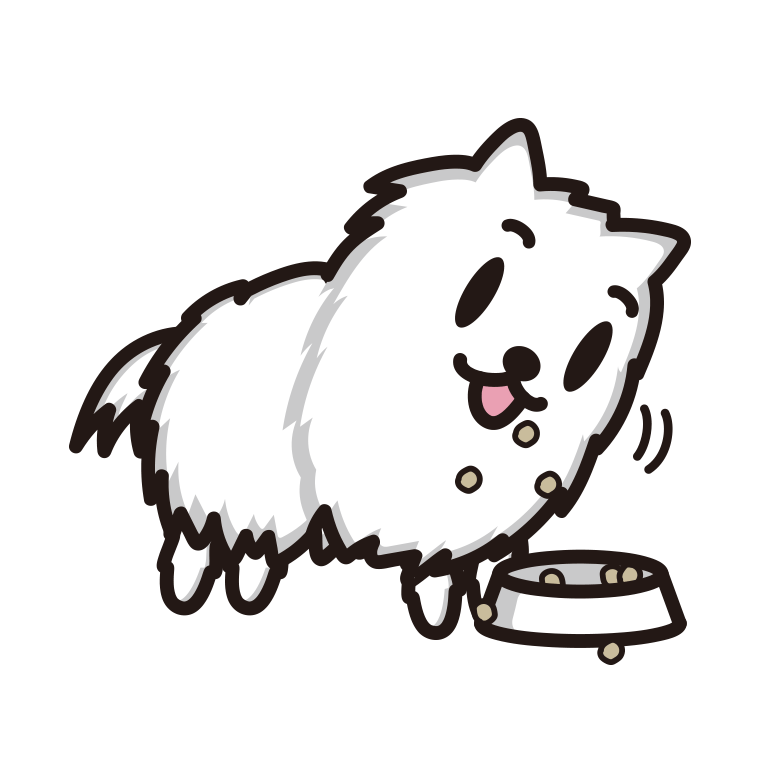 ごはんをモリモリ食べるポメラニアンちゃん（犬）のイラスト【色あり、背景なし】透過PNG