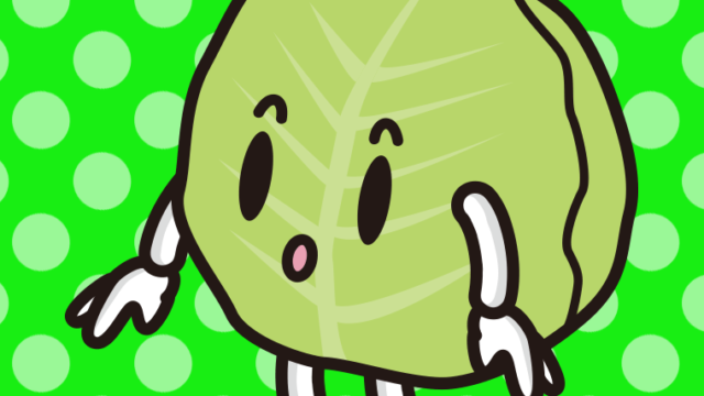 何かに気付くキャベツちゃんのイラスト【色、背景あり】PNG