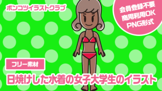 【フリー素材】日焼けした水着の女子大学生のイラスト