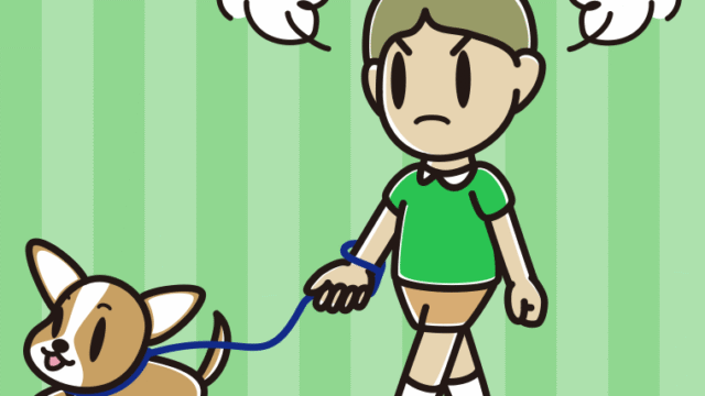 犬の散歩で怒る小学生男子のイラスト【色、背景あり】PNG