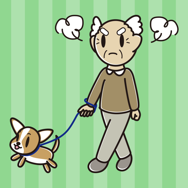 犬の散歩で怒るおじいさんのイラスト【色、背景あり】PNG